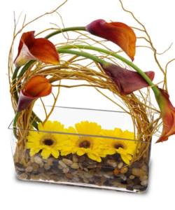 yellow daisies in glass container