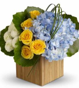 yellow roses adn blue hydrangea with green accent in cube